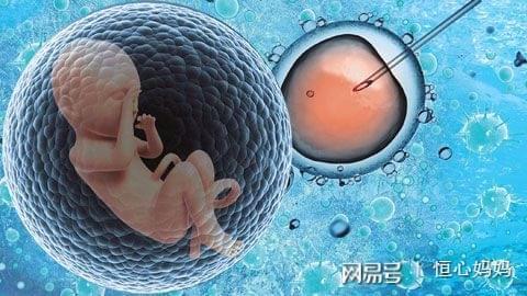 单身生育力保存